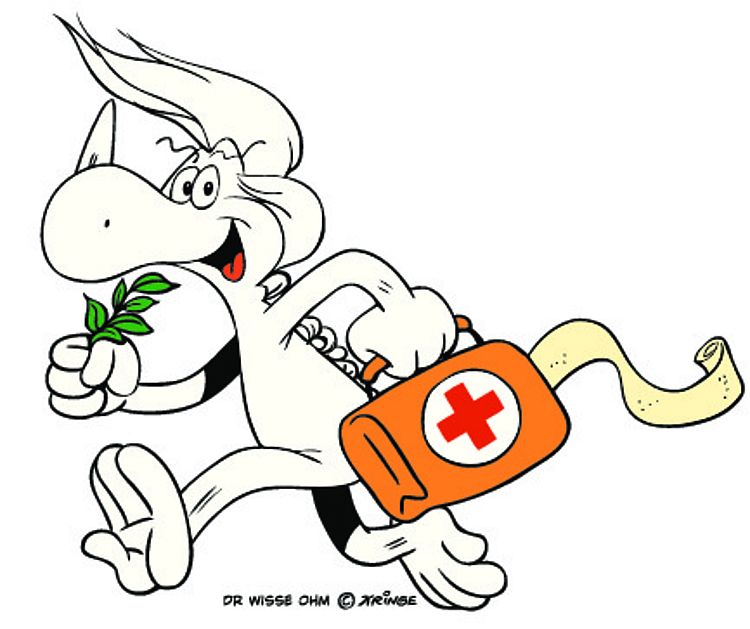 Der Wisse Ohm ist das Maskottchen des DRK Ortsvereins Eiserfeld Eisern Der Dilldappe namens Der Wisse Ohm schaut freundlich und trägt Heilkräuter und einen Erste Hilfe Koffer mit sich.